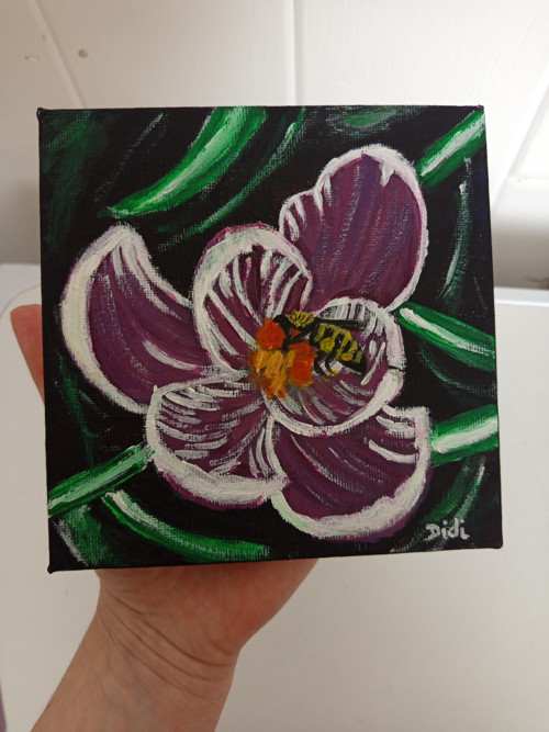 Krokus