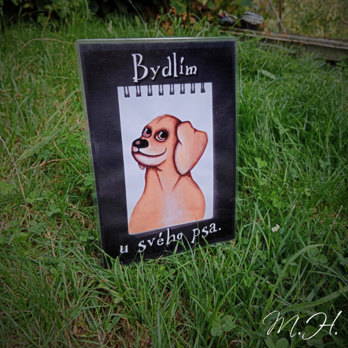 Bydlím u svého psa ("kalendář")
