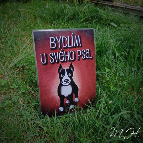 Bydlím u svého psa (bullterier)