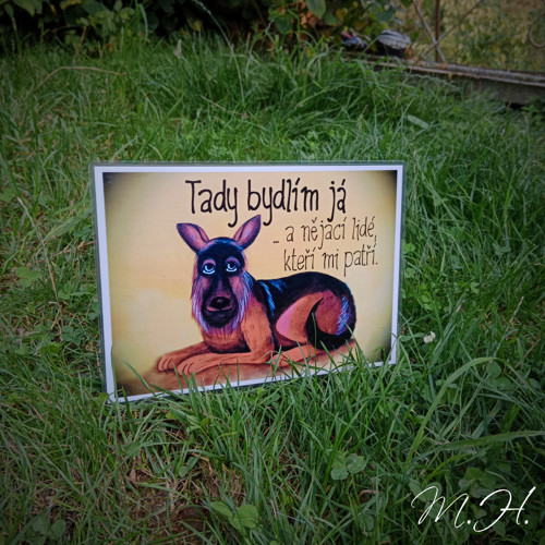 Tady bydlím já... a nějací lidé (černohnědý pes)