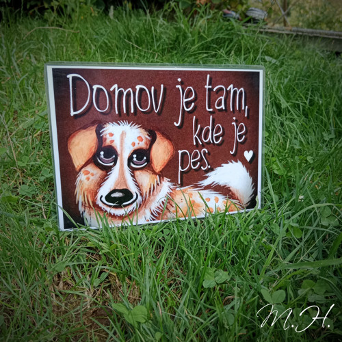 Domov je tam, kde je pes (bílohnědý chlupáč)