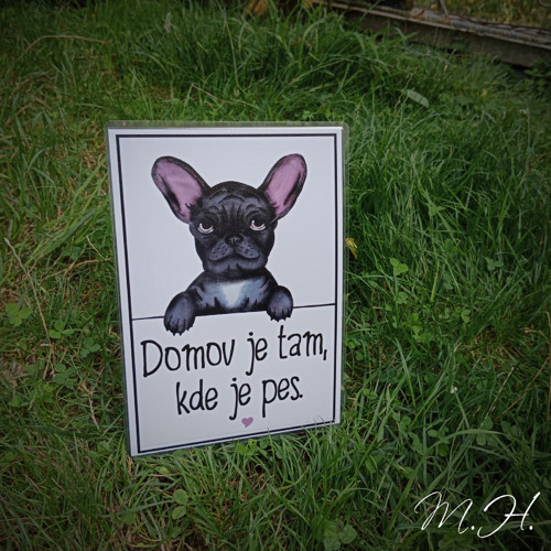 Domov je tam, kde je pes (buldoček)