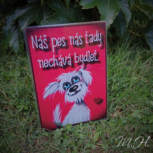 Náš pes nás tady nechává bydlet (bílý chlupáč)