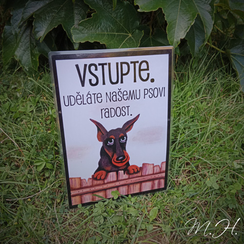 Vstupte, uděláte našemu psovi radost (dobrman)