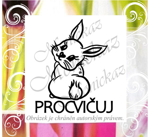 Procvičuj zajíc 2126. Razítko.
