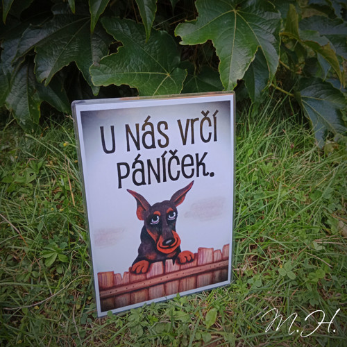U nás vrčí páníček (dobrman) — foto 1