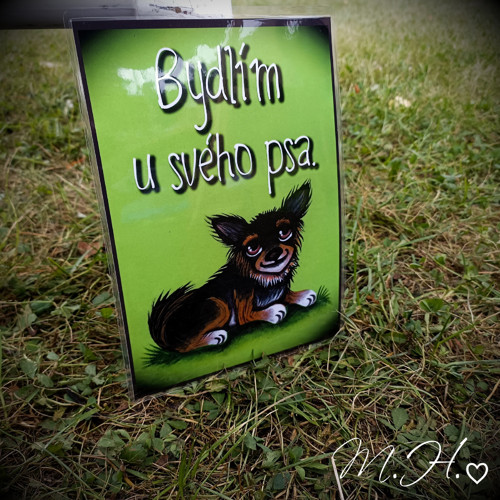 Bydlím u svého psa (chlupáč) — foto 1