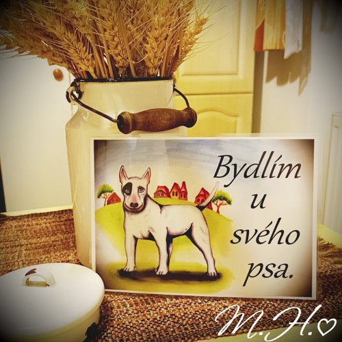 Bydlím u svého psa (bullterier)