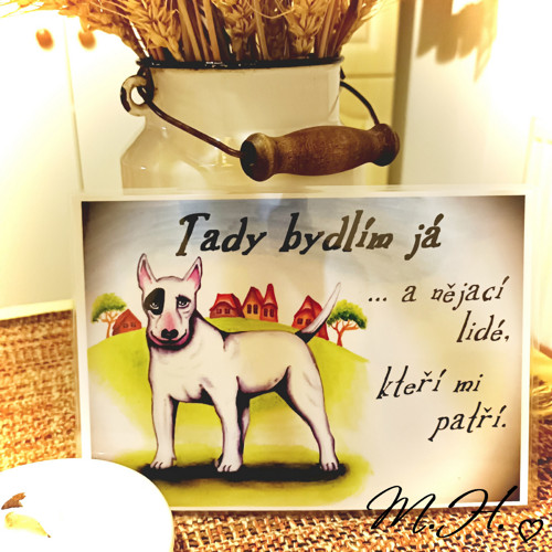 Tady bydlím já... a nějací lidé... (bullterier)
