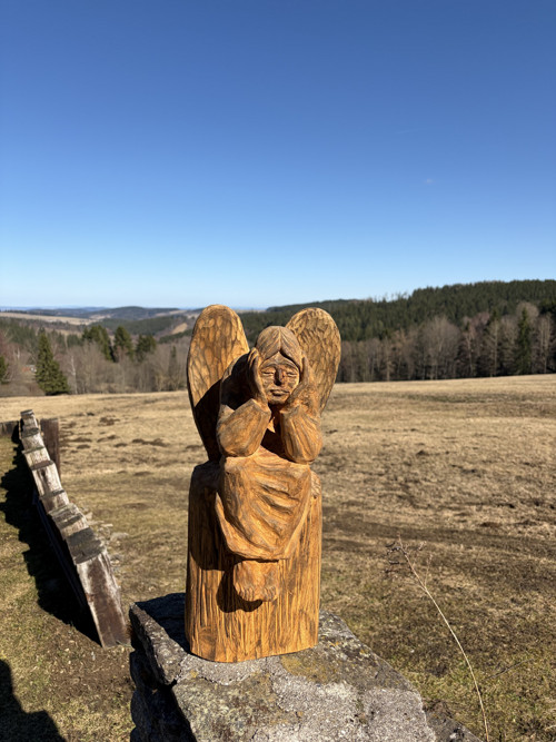 Anděl ochránce — foto 1