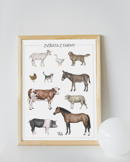 Montessori plakát A3 tištěný – zvířátka FARMA