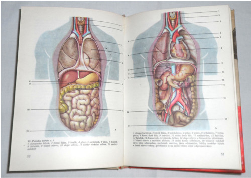 BIOLOGIE dítěte a zdravotnická prevence, I. díl, 1