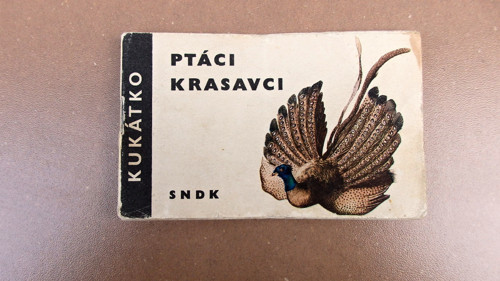 Ptáci krasavci — foto 1