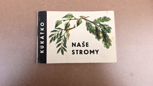 Naše stromy — foto 1