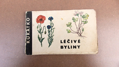 Léčivé byliny — foto 1