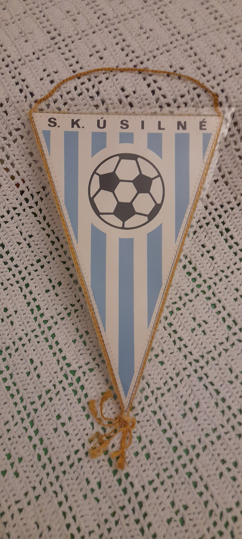 Úsilné