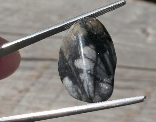 Jaspis picasso (19 mm) V3566 — foto 1