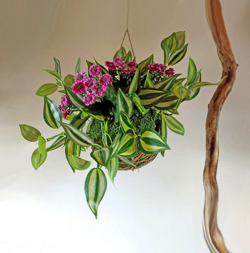Neživá trvanlivá bezúdržbová dekorace - kokedama