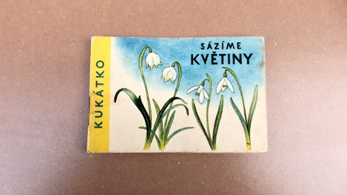 Sázíme květiny — foto 1