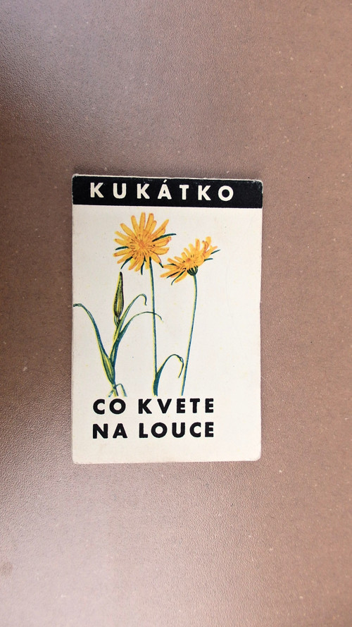 Co kvete na louce — foto 1
