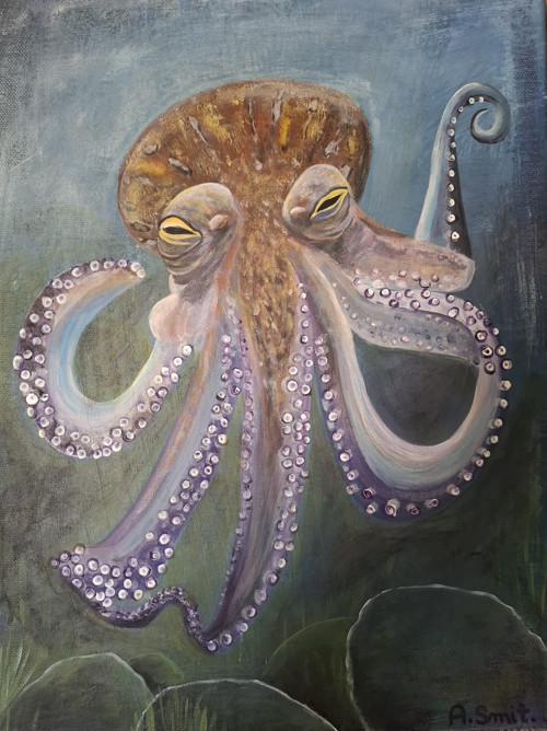Obraz, chobotnice, Octopus,