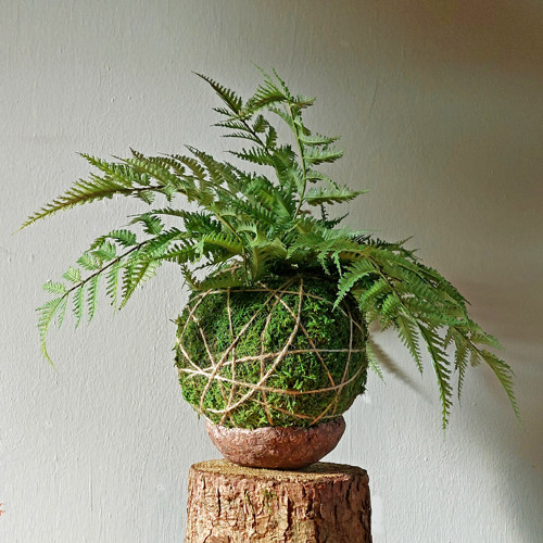Kokedama s kvalitní umělou květinou - kapradina
