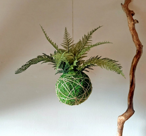 Velká kokedama s umělou květinou - kapradina