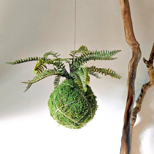 Kokedama s kvalitní umělou květinou - kapradina