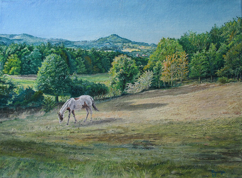Pastvina Horní Nezly-40x30olej-středohoří