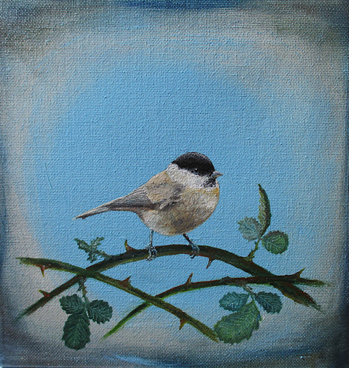 Sýkora-20x20-olej