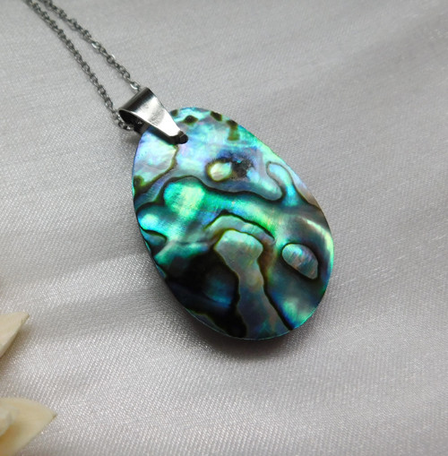 Paua mušla / abalone