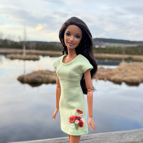 Vlčí máky - Pistáciové šaty pro Barbie