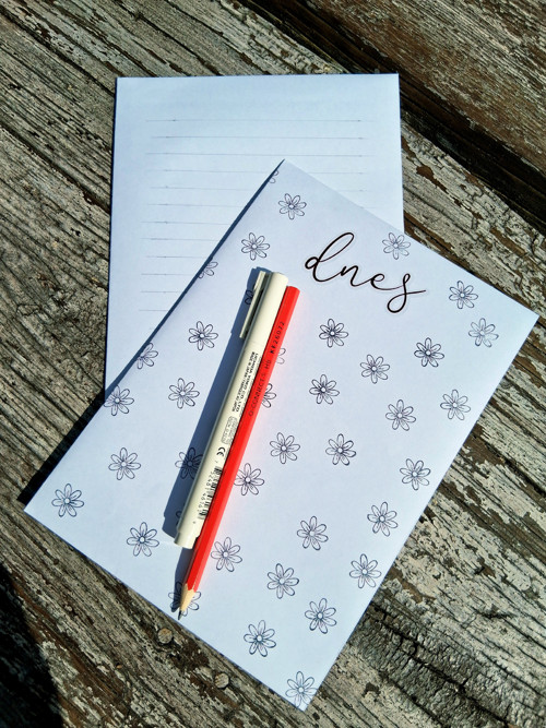 Pracovní list z obálek - kytičky, řádky