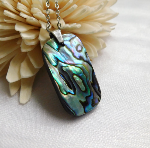 Paua mušla / abalone