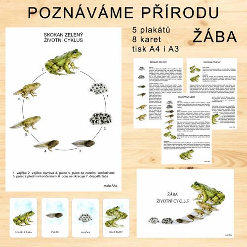 ŽÁBA - POZNÁVÁME PŘÍRODU v PDF