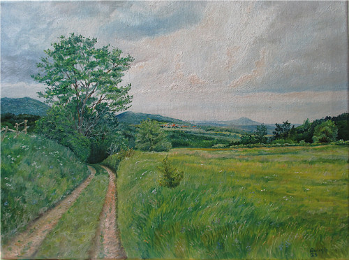 Říp v dálce,olej,40x30-Zababeč-středohoří