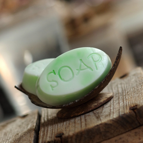 MÝDLO ALOE s bambuckým máslem SOAP zel.