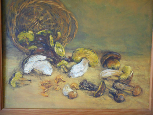 Zase porostou