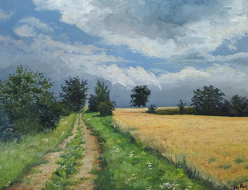 Polní cesta k Brníkovu,olej 40x30