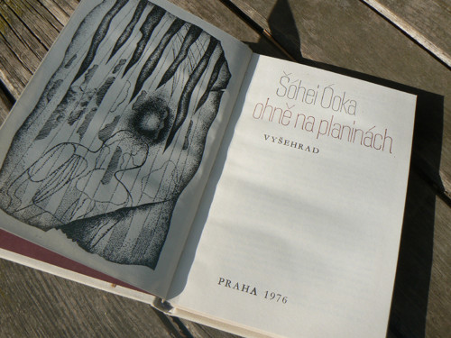 Ohně na planinách - Šóhei Óoka. — foto 1