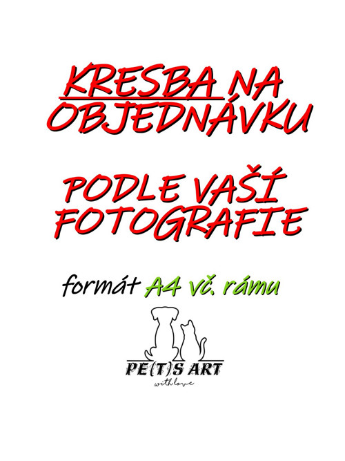 KRESBA na objednávku podle fotografie A4