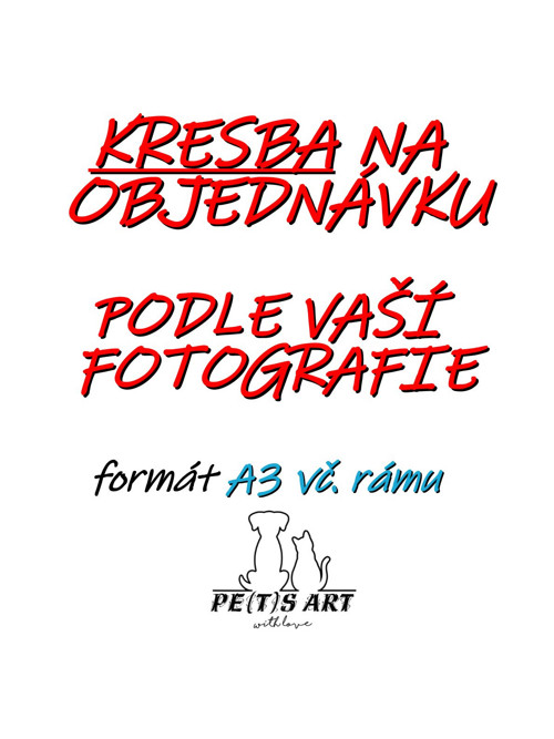 KRESBA na objednávku podle fotografie A3