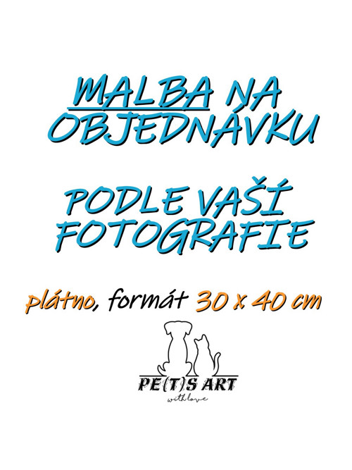 MALBA na objednávku podle fotografie 30X40 CM