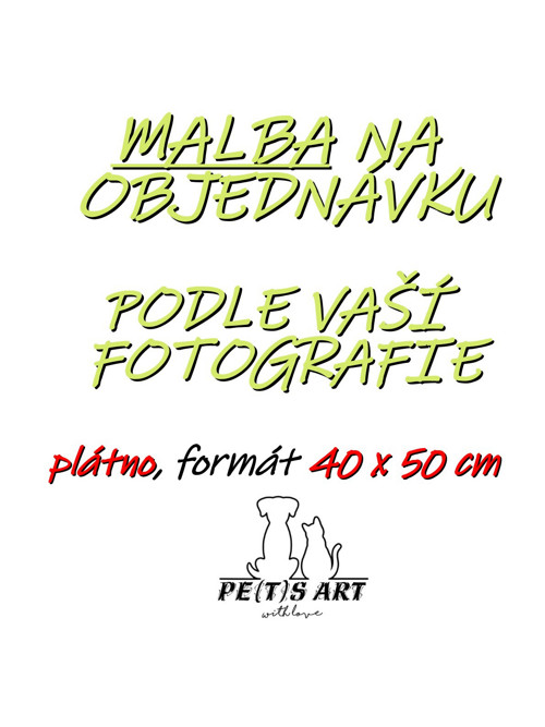 MALBA na objednávku podle fotografie 40X50 CM