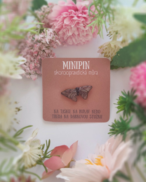 Skoroopravdická můra | minipin — foto 1