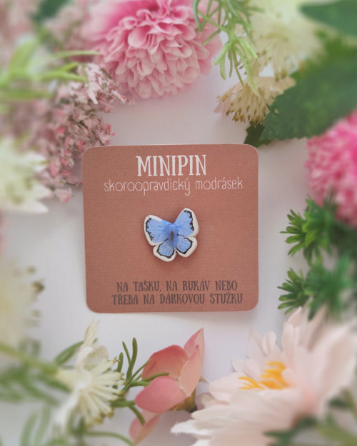 Skoroopravdický modrásek | minipin — foto 1