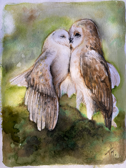 „Májové sovy“, print / reprodukce na plátně