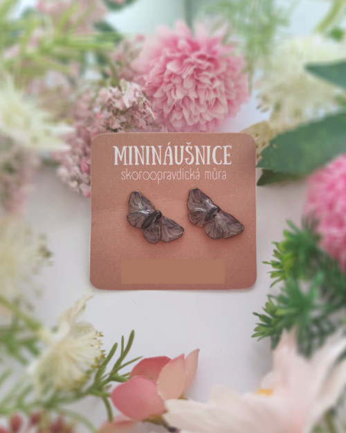 Skoroopravdická můra | minináušnice — foto 1