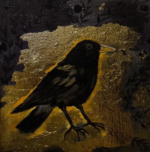 Kos 20×20 cm