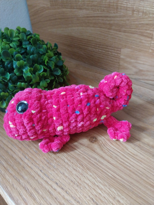 Chameleon